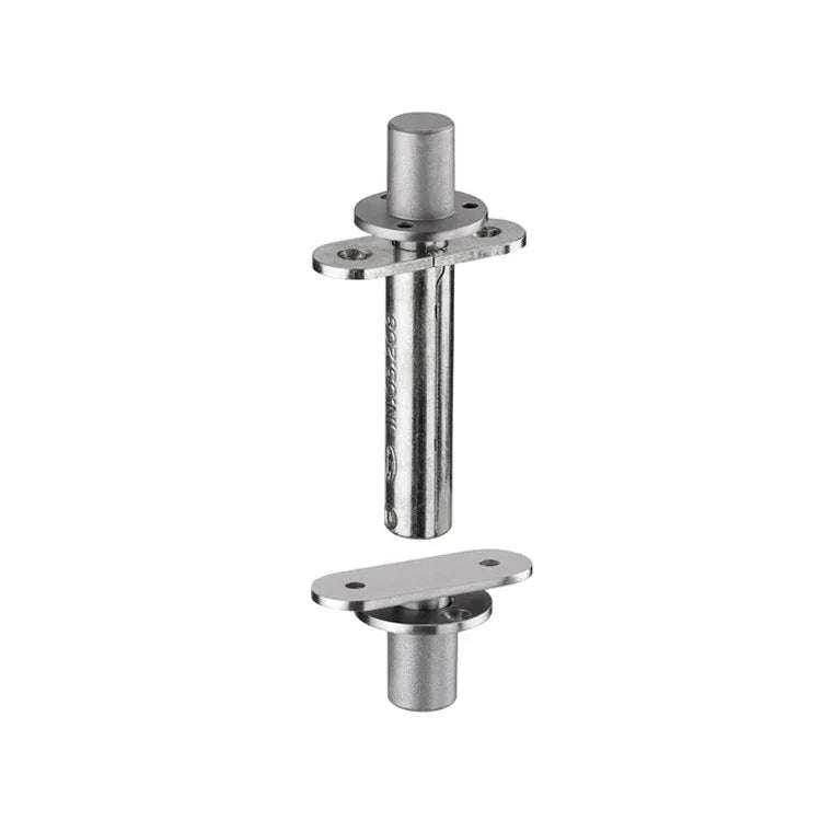 Flush pivot hinge